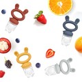 Fresh Food Feeder and Teether